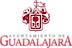 Ayuntamiento De Guadalajara, Jalisco logo