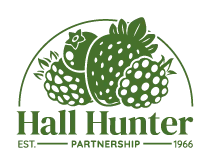 Hall Hunter Partnership logo