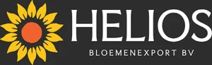 Helios Bloemenexport logo