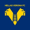 Hellas Verona Fc logo