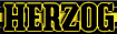 Herzog Transit Services logo