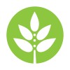 HollisterStier Allergy logo