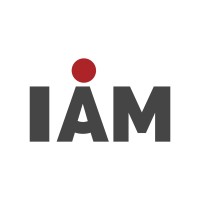 I Am Consulting Group logo