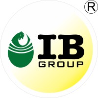 IB Group logo