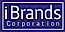 Ibrands logo