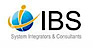 International Business Solutions logo