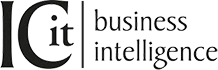 ICit Business Intelligence logo