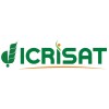 Icrisat logo