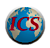 International Customs Services logo