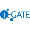 i-GATE Innovation Hub logo