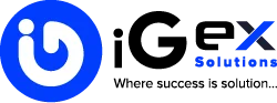 iGex Solutions logo