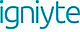 Igniyte | Expert Online Reputation Management For Businesses, Brands And Individuals logo