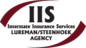 Iis Newton logo