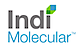 Indi Molecular logo