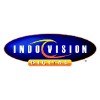 Pt. Mnc Sky Vision logo