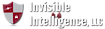 Invisible Intelligence logo