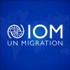 Iom logo