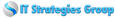 IT Strategies Group,LLC logo