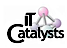 IT Catalysts logo