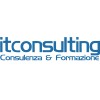 Itconsulting logo