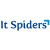 It Spiders logo