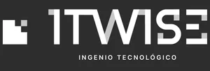 Itwise Technology Services logo
