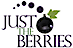 Just the Berries PD logo