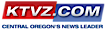 NewsChannel 21 logo