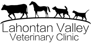 Lahontan Valley Veterinary Clinic logo