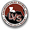 Louisiana Valve Source logo