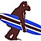 Leucadia Surf School logo