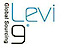 Levi9 Technology Services logo