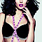 Lingerie By Susan logo