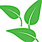 Little Leaves Behavioral Services logo