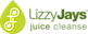 LizzyJays logo