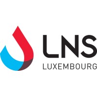 Lns logo