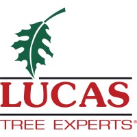 Lucas Tree Expert logo