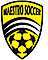 Maestro Soccer logo