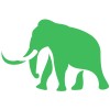 Mammoth Biosciences logo