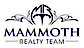 Mammoth Realty Team logo