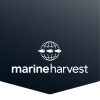 Marine Harvest Group logo