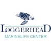 Loggerhead Marinelife Center logo