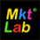 Marketinglab logo