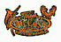 McCoy''s Outdoors logo