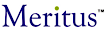 Meritus Intelytics logo