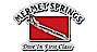 Mermet Springs logo