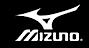 Mizuno logo