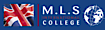 Mls International College logo