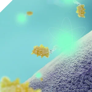 Molecular Partners logo