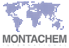 Montachem International logo